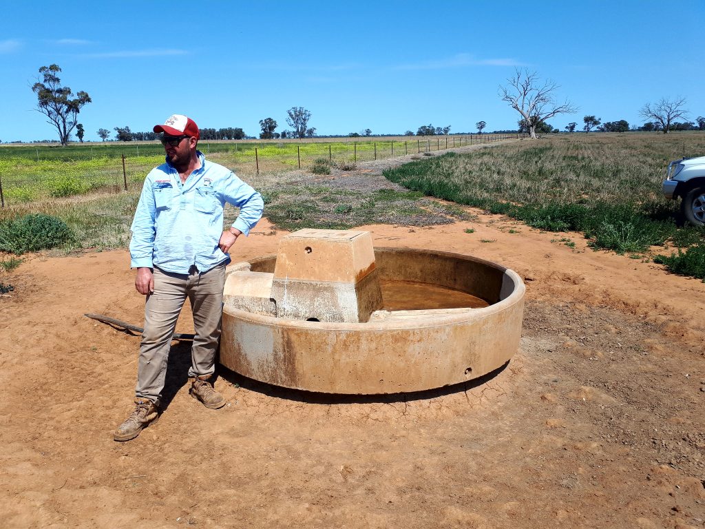 Livestock Drinking Trough Test Phase 1